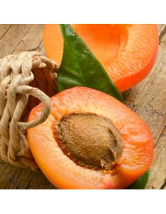 Abrikos Aroma - Perfumers...